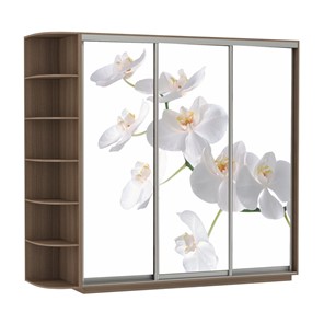 Шкаф 3-дверный Экспресс со стеллажом, 2100х600х2200, Орхидея белая/шимо темный в Омске