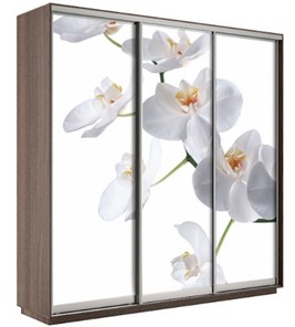 Шкаф 3-дверный Экспресс 2400х600х2200, Орхидея белая/шимо темный в Омске