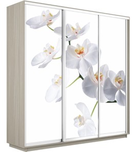 Шкаф 3-дверный Экспресс 2400х600х2400, Орхидея белая/шимо светлый в Омске
