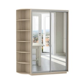 Шкаф 2-дверный Экспресс (2 зеркала), со стеллажом 1700x600x2200, шимо светлый в Омске