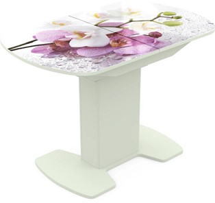 Кухонный стол раскладной Корсика исп. 2 Фотопечать (Цветы №44) 1200(1515)*800 в Омске