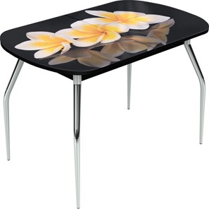 Кухонный раздвижной стол Ривьера исп.1 ноги метал. крашеные №24 Фотопечать (Цветы №11) в Омске