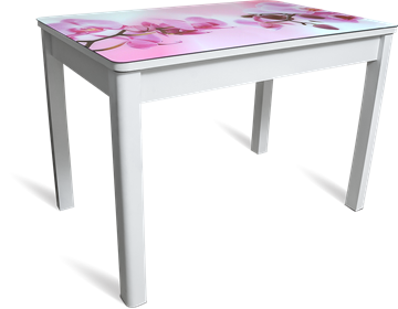 Обеденный раздвижной стол Айсберг мини СТФ, белое лдсп/орхидея/40 прямые массив белые в Омске