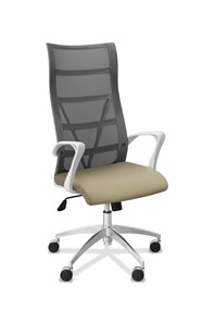 Офисное кресло для руководителя Топ X белый каркас, сетка/ткань TW / серая/светло-серая в Омске