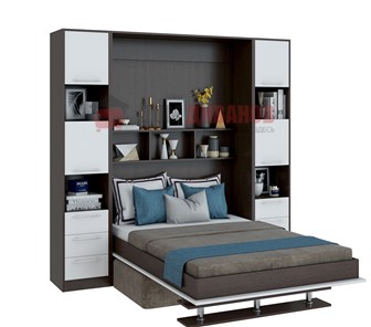 Кровать-шкаф с диваном DetalMaster Бела 1, с полкой ножкой, 1200х2000, венге/белый в Омске
