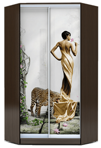 Шкаф 2300х1103, ХИТ У-23-4-77-03, Девушка с леопардом, венге в Омске