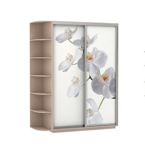 Шкаф 2-дверный Экспресс 1900x600x2200, со стеллажом, Орхидея белая/дуб молочный в Омске