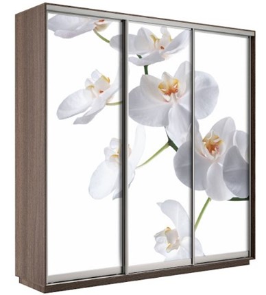 Шкаф 3-створчатый Экспресс 1800х600х2200, Орхидея бела/шимо темный в Омске - изображение