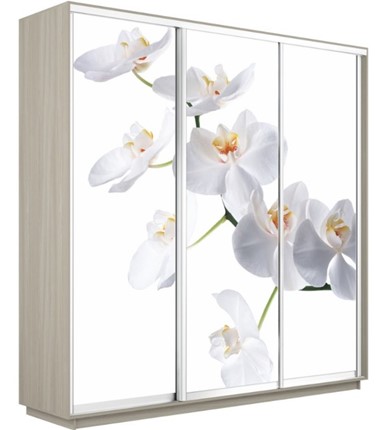 Шкаф 3-дверный Экспресс 2400х600х2400, Орхидея белая/шимо светлый в Омске - изображение