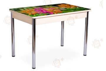 Кухонный раздвижной стол Айсберг-02 СТФ, Дуб ЛДСП/полевые цветы/ноги хром прямые в Омске