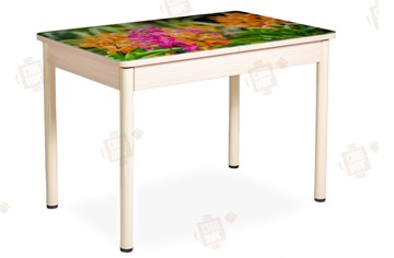 Кухонный стол раздвижной Айсберг-02 СТФ, Дуб ЛДСП/полевые цветы/ноги крашеные в Омске