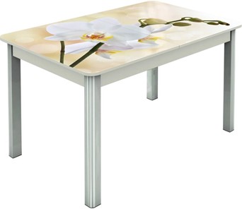 Кухонный стол раздвижной Гамбург исп.2 ноги метал. крашеные №23, Фотопечать (Цветы №5) в Омске