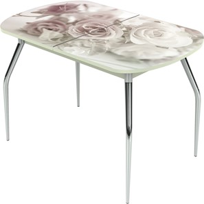 Обеденный раздвижной стол Ривьера исп.2 ноги метал. крашеные №24 Фотопечать (Цветы №41) в Омске