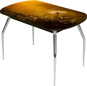 Кухонный стол раскладной Ривьера исп.2 ноги метал. крашеные №24 Фотопечать (Цветы №43) в Омске