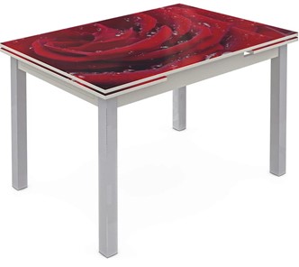 Обеденный раздвижной стол Шанхай исп. 2, ноги метал. крашеные №21 Фотопечать (Цветы №39) в Омске