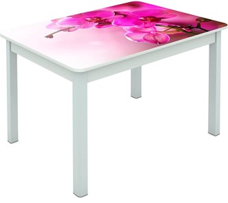 Обеденный стол Мюнхен исп. 1 ноги метал. крашеные №23 Фотопечать (Цветы №16) в Омске