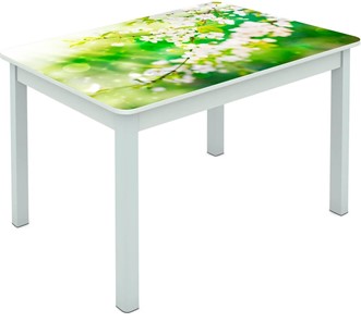 Обеденный стол Мюнхен исп. 1 ноги метал. крашеные №23 Фотопечать (Цветы №45) в Омске