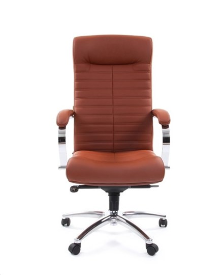 Офисное кресло CHAIRMAN 480 Экокожа Terra 111 (коричневая) в Омске - изображение 1