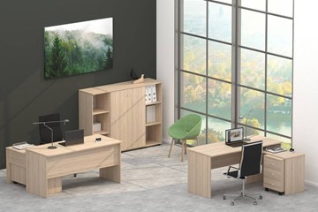 Набор мебели в офис Twin в Омске - предосмотр 4