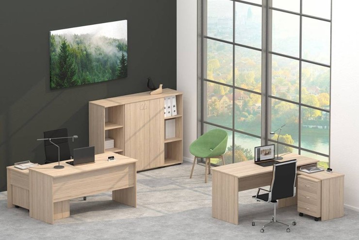 Набор мебели в офис Twin в Омске - изображение 4
