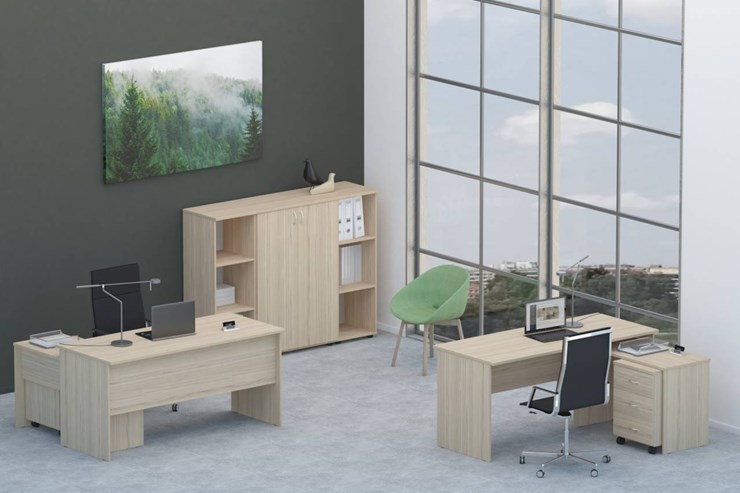 Офисный набор мебели Twin для 2 сотрудников со шкафом для документов в Омске - изображение