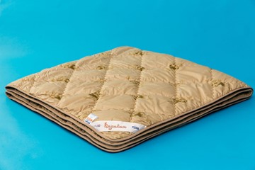 Одеяло всесезонное двуспальное Караван в Омске - предосмотр