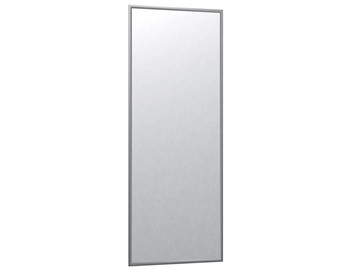Зеркало навесное в гардероб Сельетта-6 матовое серебро (1100х400х9) в Омске