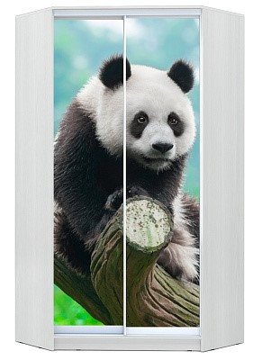 Детский угловой шкаф Хит-У-24-4-77-29, Панда, Белый в Омске - изображение