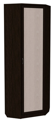 Шкаф распашной 402 угловой со штангой, цвет Венге в Омске - изображение