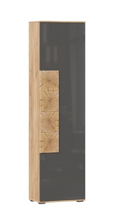 Шкаф одностворчатый Фиджи с декоративными накладками 659.300, Дуб Золотой/Антрацит в Омске - изображение