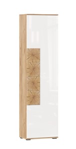 Шкаф одностворчатый Фиджи с декоративными накладками 659.300, Дуб Золотой/Белый в Омске