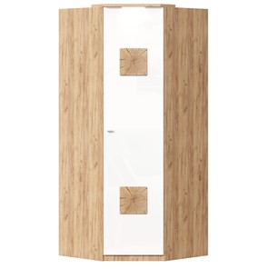 Шкаф угловой 45 с декоративной накладкой Фиджи, 659.248, белый в Омске - предосмотр