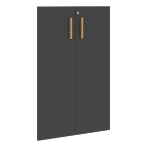 Средние двери для шкафов с замком FORTA Черный Графит FMD 40-2(Z) (794х18х1164) в Омске